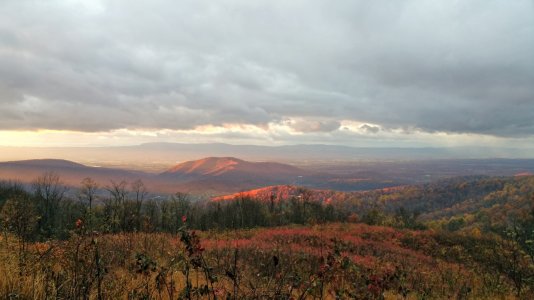 2014-11-02_13.33.41[1].jpg
