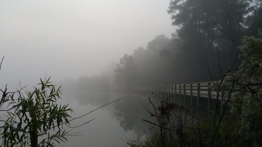 20141105_070840.jpg