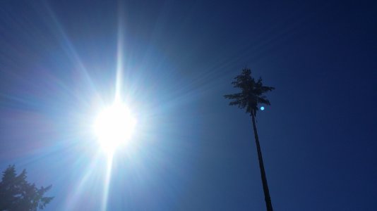 20140920_140219[1].jpg