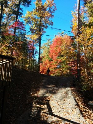 IMG_20141030_124419.jpg