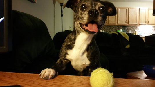 20141115_201920.jpg
