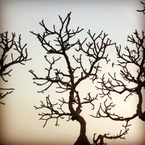 InstagramCapture_0adc6c4d-9e4a-4973-a7fc-76368ee9d17b.jpg