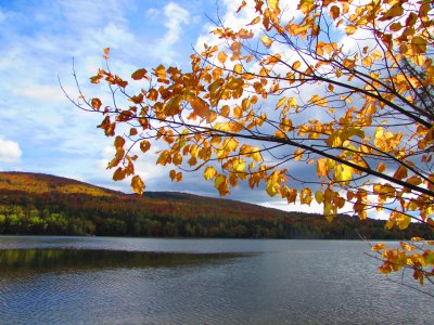 20141011_105457.jpg