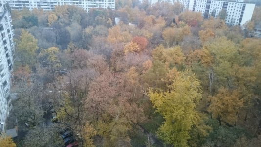 DSC_0031.JPG