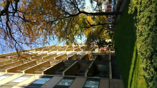 20141025_162552.jpg