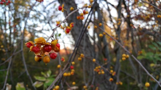 20141030_172806.jpg