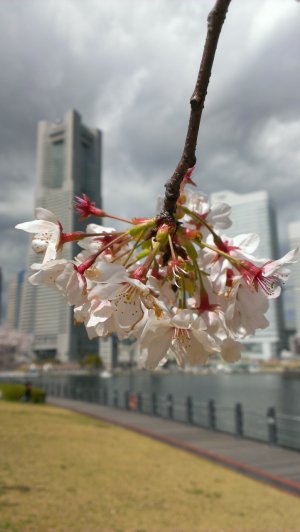 IMAG2428.jpg