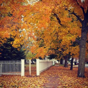 IMG_20141018_162618[1].jpg