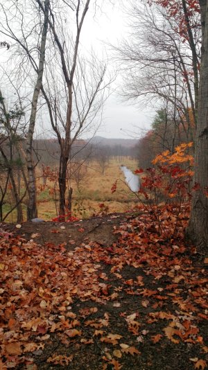 IMG_20141106_104748922.jpg