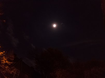 IMG_20141106_220949-2.jpg