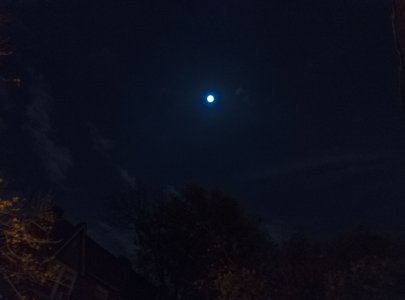 IMG_20141106_220949.jpg