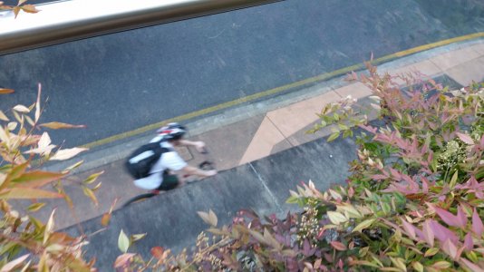 20141027_081704.jpg