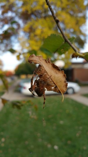 2014-10-24 17.13.04.jpg