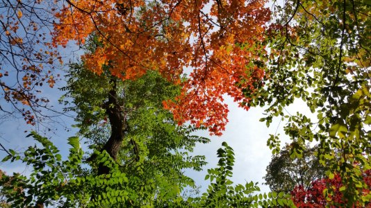 20141025_134017.jpg