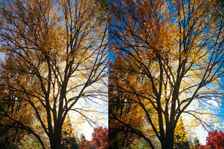 collage-autumn.jpg