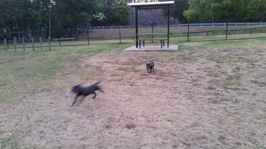 20141028_181058.jpg