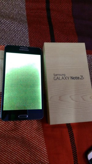 IMAG0090.jpg