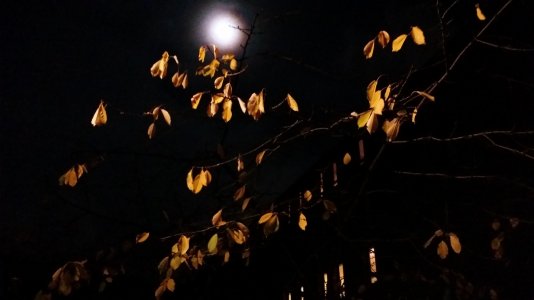 20141107_225813.jpg