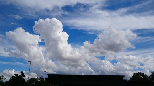 DSC_0042.jpg
