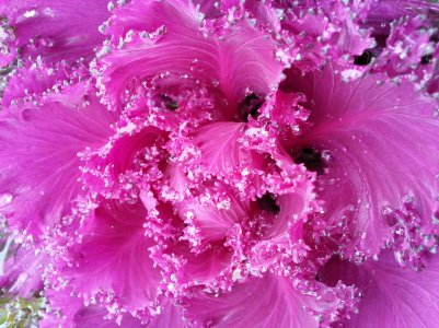 20121013_154155.jpg