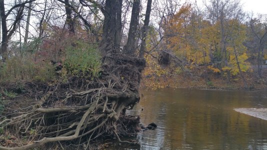 20141108_153945[1].jpg
