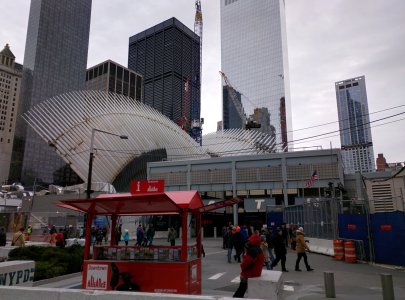 IMG_20141129_101946.jpg