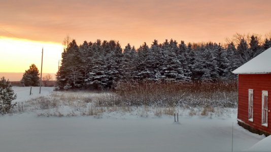 IMG_20141129_072013805_HDR.jpg
