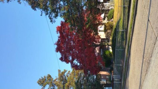 20141110_152023.jpg