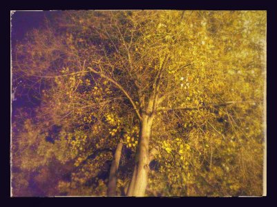 IMG_20141105_203242-EFFECTS.jpg