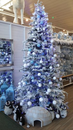 Tree.jpg