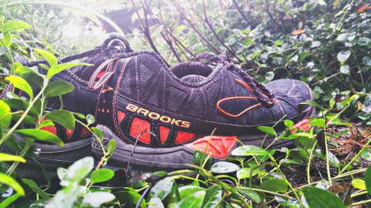 neon shoes pmr2.jpg