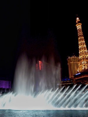 vegas neon.jpg