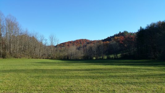 20141109_154906.jpg