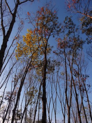 _SC02141---Copy(1).jpg