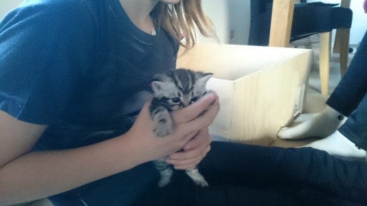 2014-11-09 15.01.15.jpg