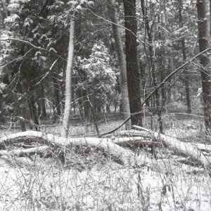 20141126_153026.jpg