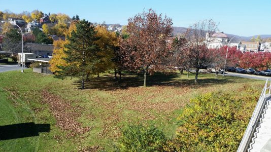 2014-11-11 19.17.45.jpg