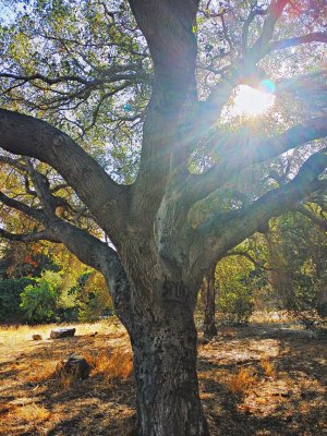 20141108_090059_HDR.jpg