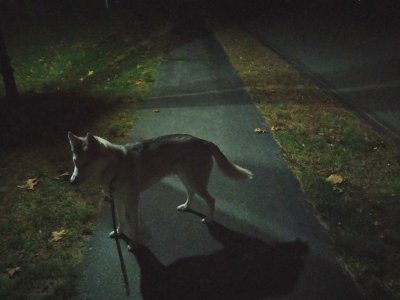 20141109_193313 (after).jpg