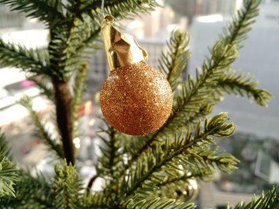 weekly-photo-contest-sparkle.jpg