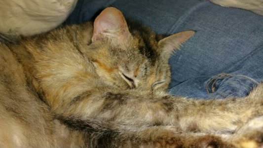 20141016_230108.jpg