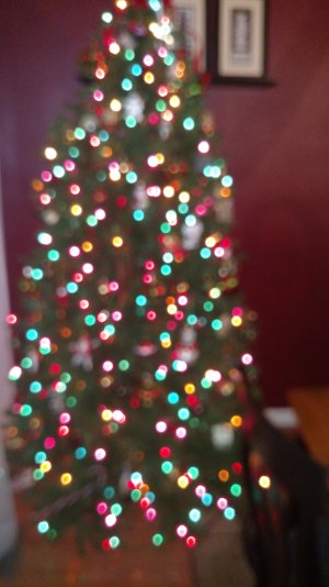 IMG_20141202_224211767.jpg
