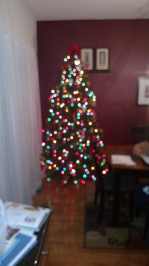 IMG_20141202_224330159.jpg
