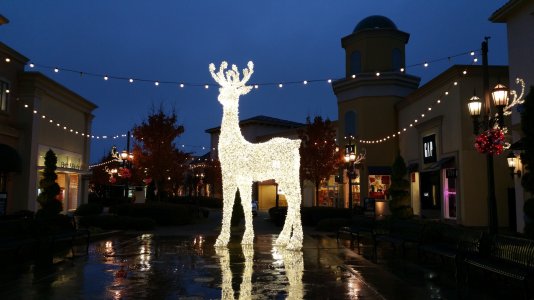 deer.jpg