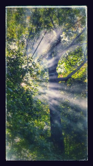 20140928_093542_HDR-EFFECTS.jpg