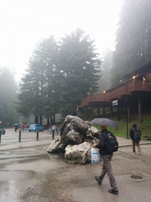 IMG_20141202_160339[2].jpg