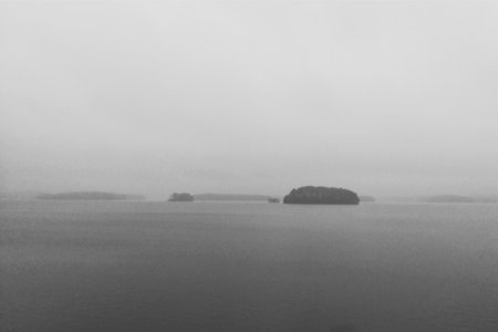 fog.jpg