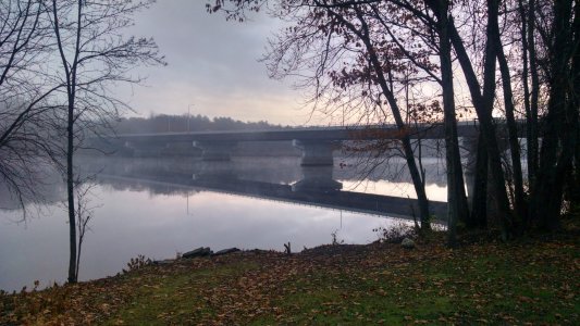 2014-11-11.jpg