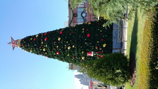 20141115_132944.jpg
