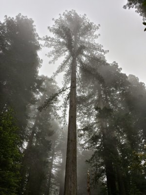 20140624_164641_Richtone(HDR).jpg